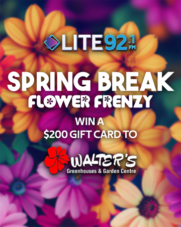 Spring Break Flower Frenzy